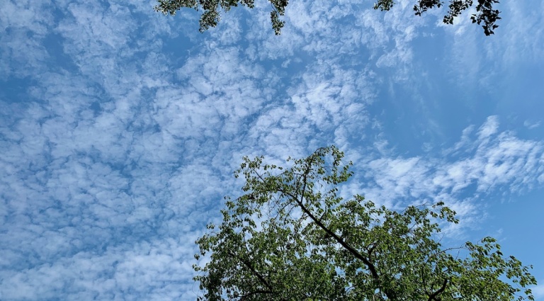 <img alt="" src="/images/6/9/9/1/a/6991ac75e66214d7a0da6a3439b22a913f7a40e8-img0802-1200.jpeg?title" />