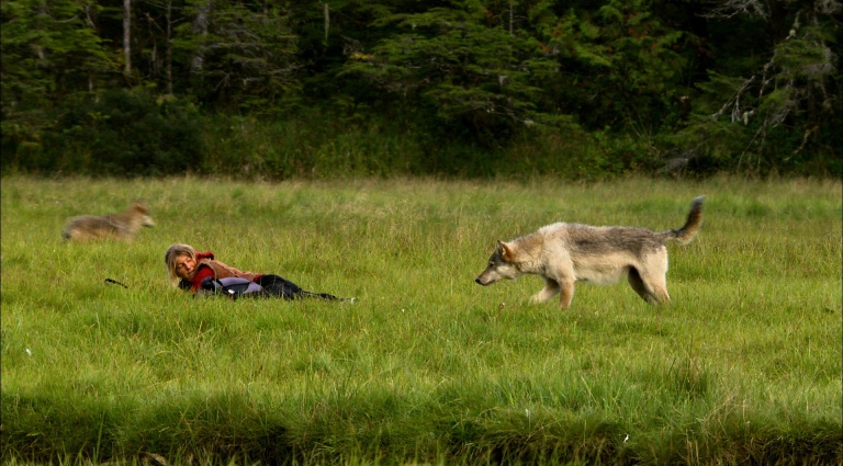 <img alt="" src="/images/f/3/9/c/9/f39c9438ab601ccc24a54a60023492ef27bde1ab-11gudrun-pflueger1200.jpg?title" />